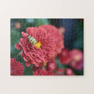 Fotografifilm med rött blommor, Beetle Insekt Kryp Pussel