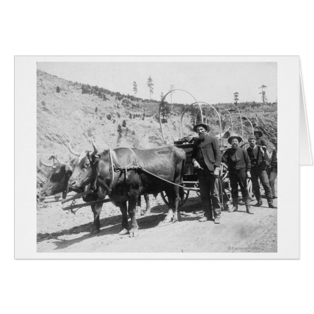 Fotografigrupp för Guld-prospektörer Hälsningskort (Framsidan Horizontal)
