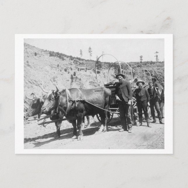 Fotografigrupp för Guld-prospektörer Vykort (Framsida)