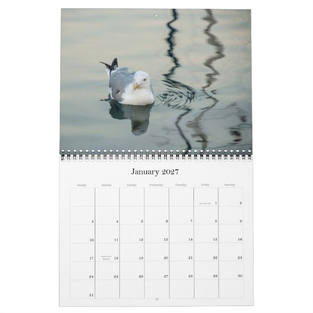Fotografikalender 2013 kalender (Jan 2027)