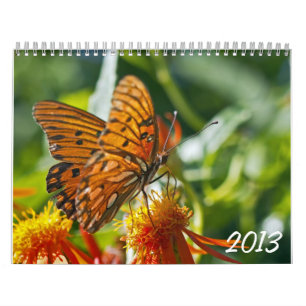 Fotografikalender 2013 kalender