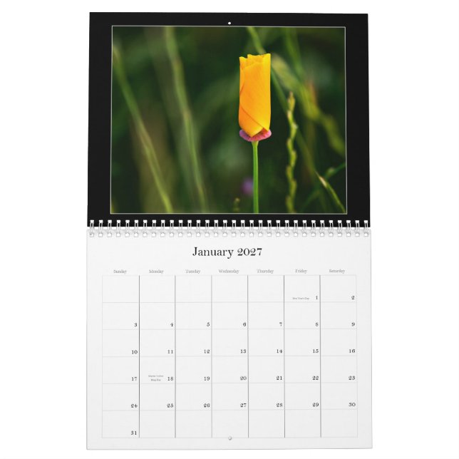 Fotografikalender för 2010 färg kalender (Jan 2027)