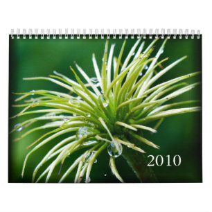 Fotografikalender för 2010 färg kalender