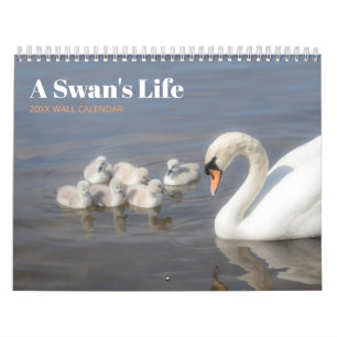 Fotografikalender för Svan-familjen Kalender