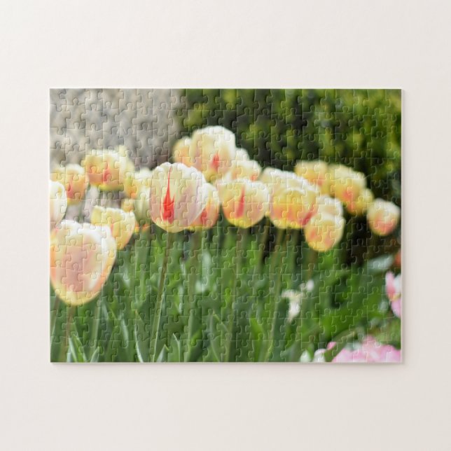 Fotografikläder för tulippfestival, blommor pussel (Horisontell)