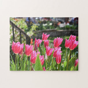 Fotografikläder för tulippfestival, blommor pussel