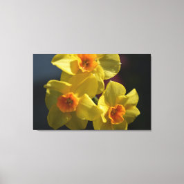 Fotografikonst av vår gult daffodil-blomman. canvastryck