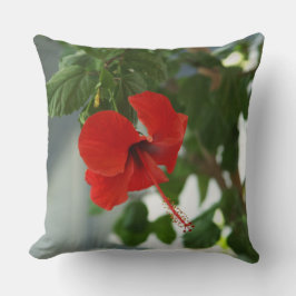 fotografiqqq nice red flower kudde