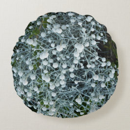 fotografiqqq uniqe pillow rund kudde