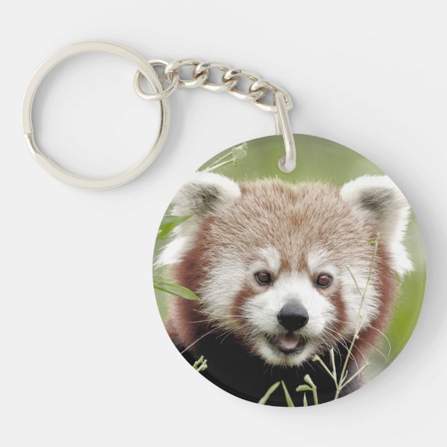 Fotografiröd panda 0075. (Framsidan)