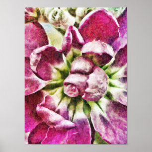 Fotografisk Abstrakt av magentans blomma Poster