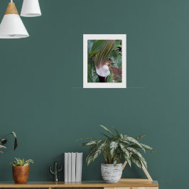 Fotografisk Blommigt för jack i kulgropen Poster