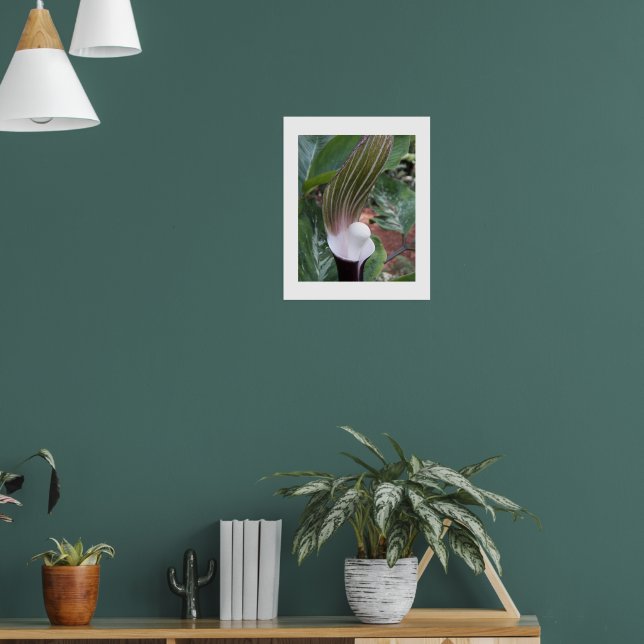 Fotografisk Blommigt för jack i kulgropen Poster (Vardagsrum 1)