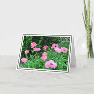 Fotografisk Elva Coral Färgad Poppies i Garden Kort