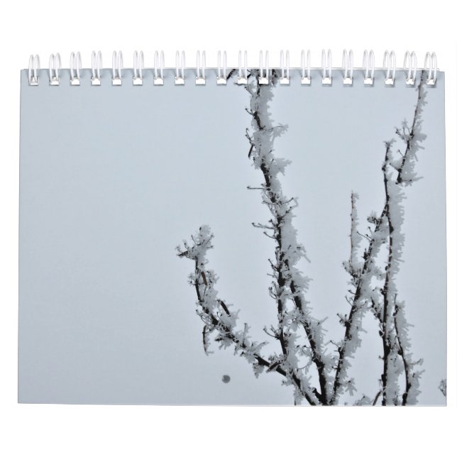 fotografisk kalender (Baksida)