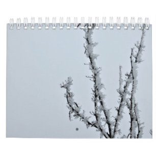 fotografisk kalender
