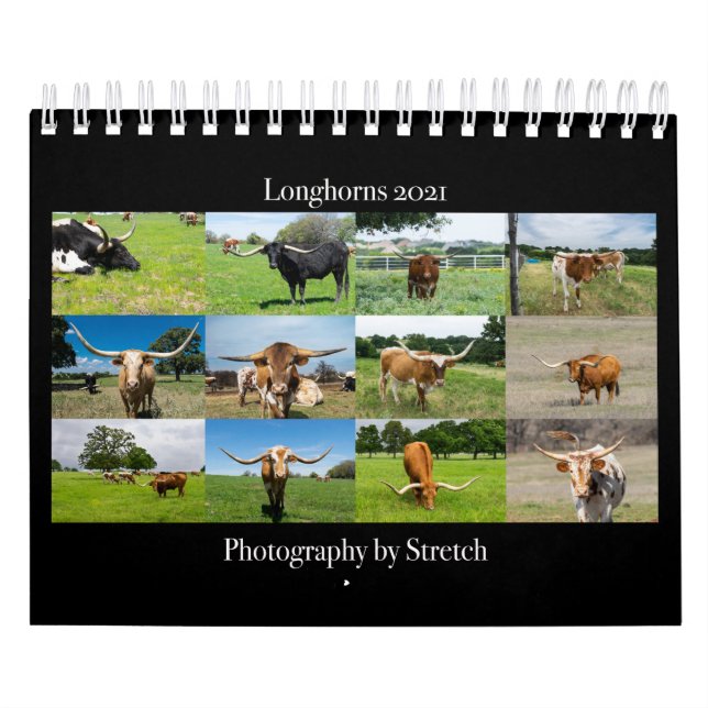 Fotografisk kalender för långa nötkreatur (Omslag)