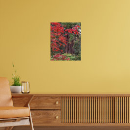 Fotografisk Löv av Giant Sequoia och Red Maple Poster