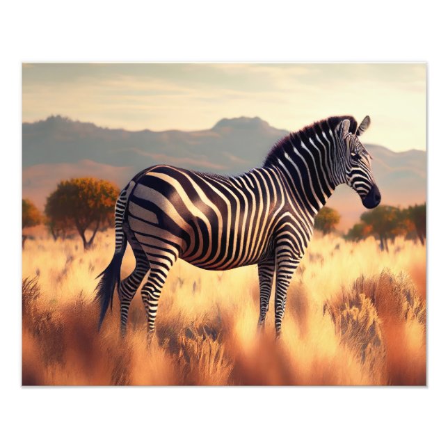 Fotografisk utskrift-Zebra Fototryck (Framsidan)