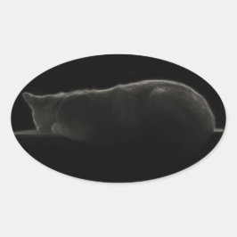 Fotografiskt sovande katt ovalt klistermärke