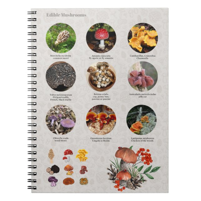 Fotoguidediagram för ätbara svampar Journal Anteckningsbok (Framsidan)