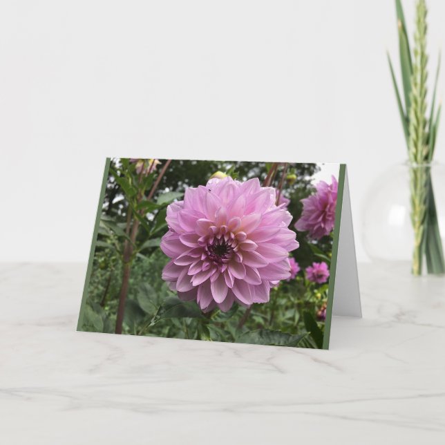 Fotohälsningskort för Dahlia-blommans relation Kort (Framsida)