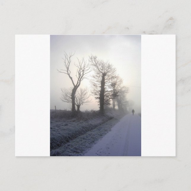 fotohongris vykort (Framsida)