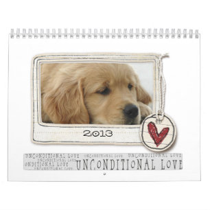 fotohundkalender 2013 kalender