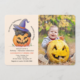 Fotoinbjudan Halloween Kattunge Inbjudningar