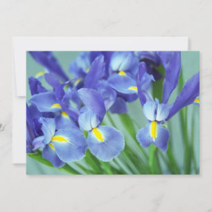 Fotoinbjudan till "Vår" Iris Flowers Inbjudningar