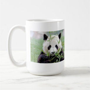 Fotojättepanda. Pandasamfunn. Kaffemugg