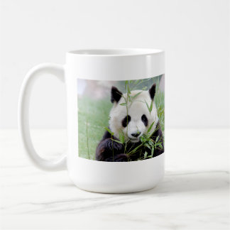 Fotojättepanda. Pandasamfunn. Kaffemugg