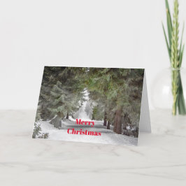 Fotojul för Forest Road Snö Gräs Träd Helgkort