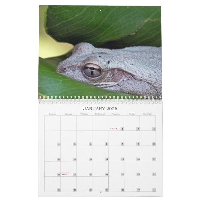Fotokalender 2013 kalender (Jan 2026)