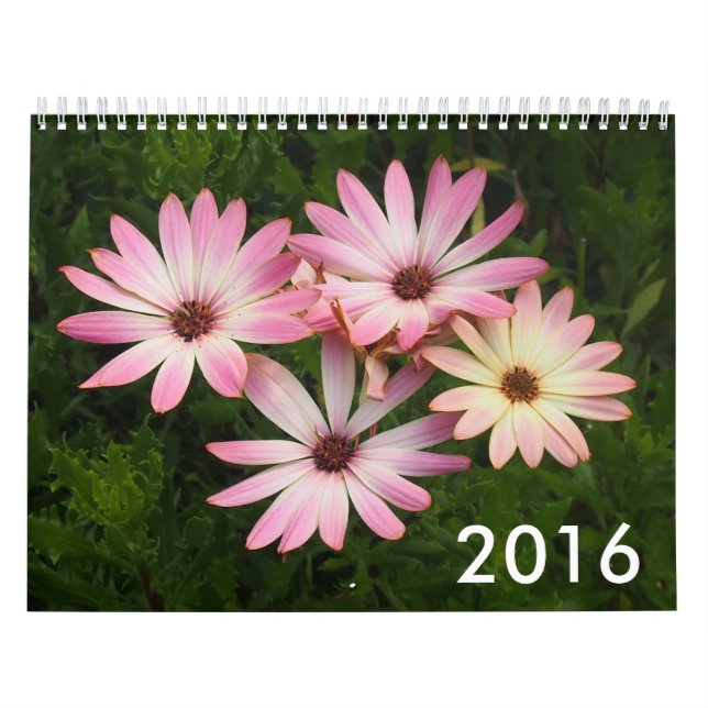 Fotokalender 2016 kalender (Omslag)