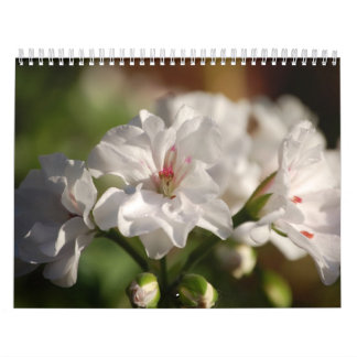 Fotokalender för 2008 blommor kalender