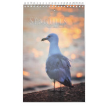 Fotokalender för fiskmås och bukfåglar i landskape