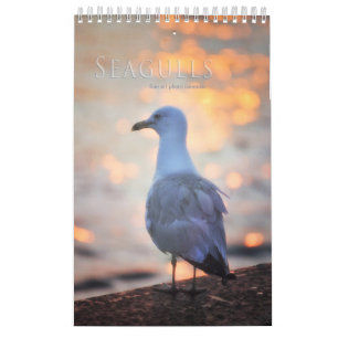 Fotokalender för fiskmås och bukfåglar i landskape kalender
