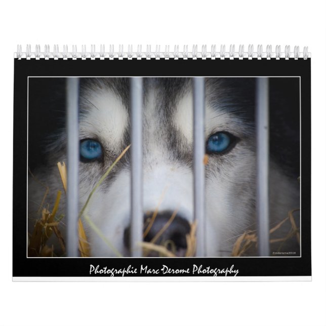 Fotokalender Kalender (Omslag)