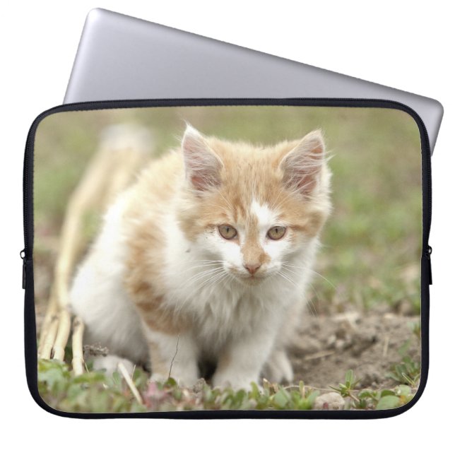 Fotokatt, djur bärbar fodral . (Framsidan)