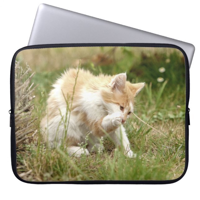 Fotokatt, djur bärbar fodral . (Framsidan)