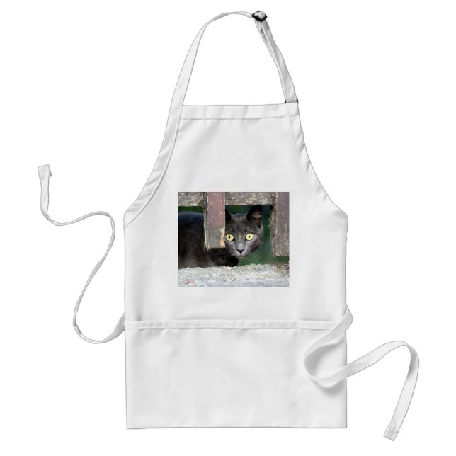 Fotokatt, sällskapsdjur, djur 0008. förkläde (Framsidan)