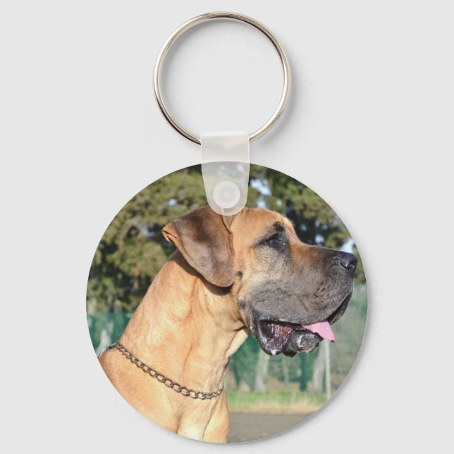 Fotokedjan great dane nyckelring (Framsida)