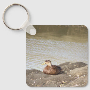 Fotokedjan Mallard Anka Nyckelring