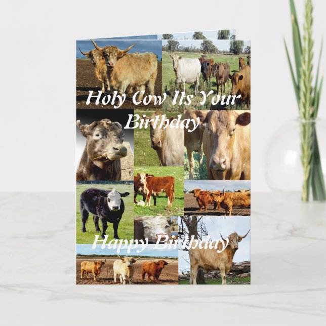 Fotokollage, födelsedag kort (Framsida)