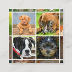 Fotokollage för Pet Photography Anpassningsbar Fyrkantigt Visitkort