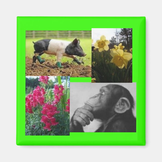 Fotokollage Magnet (Framsidan)