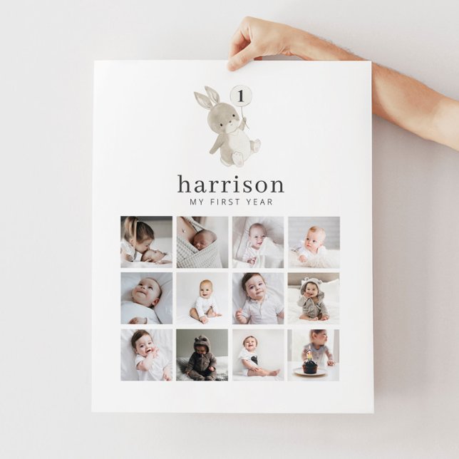 Fotokollage Poster - Bunny Balloon (Skapare uppladdad)