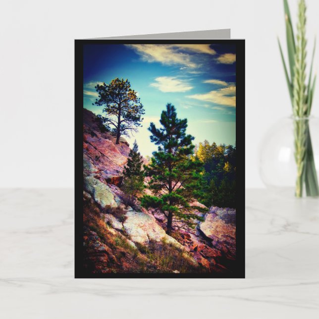 fotokonst av gräs träd kort (Framsida)