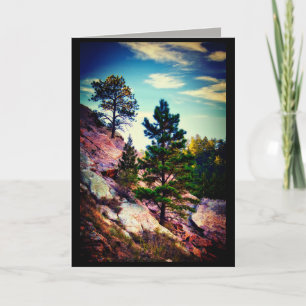 fotokonst av gräs träd kort